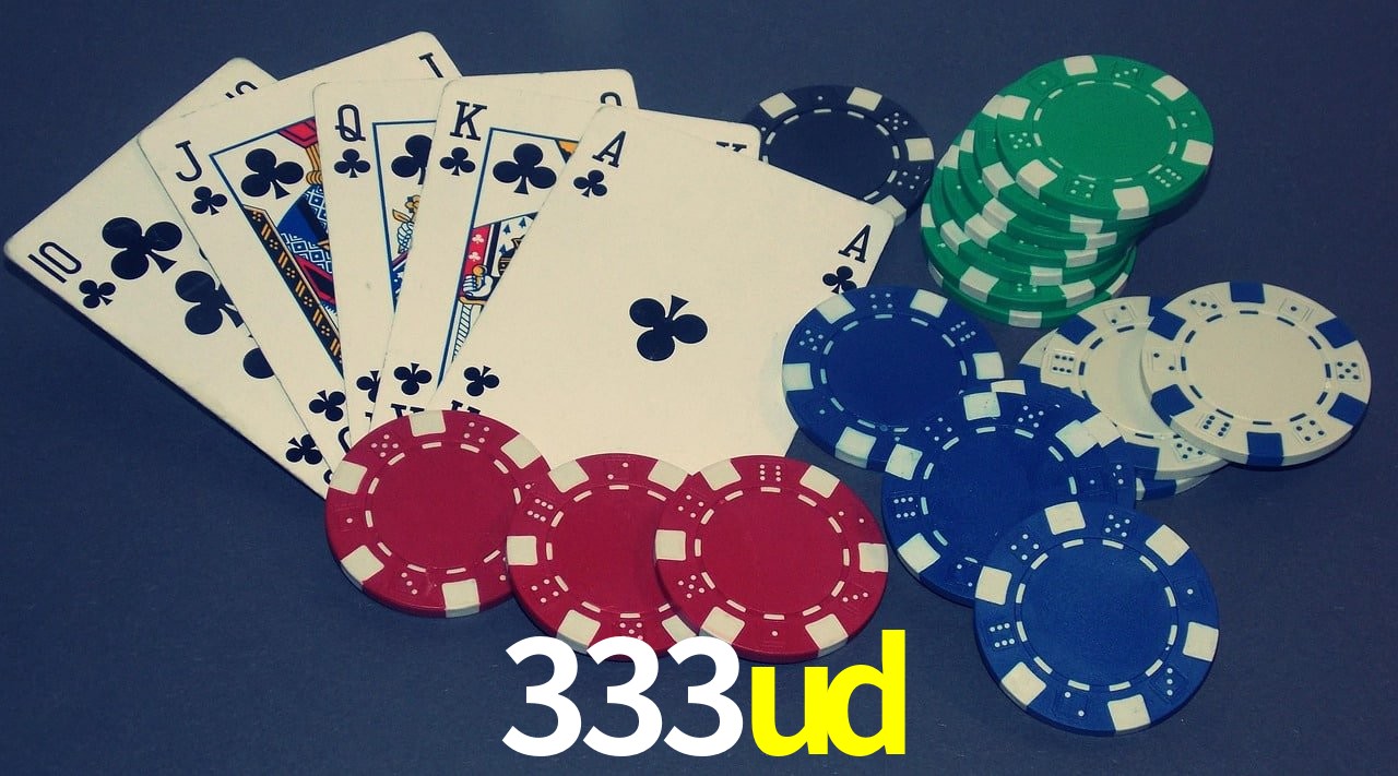 Experiência VIP 333ud
